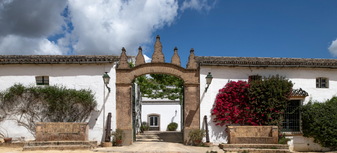 Rehabilitación Bodegas Góngora